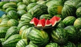 周立珊吃免费瓜资源,揭秘美食背后的故事