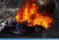 鬼乡手机在线观看,揭秘神秘村落惊悚之谜