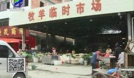 真实爆料批发市场事件视频,视频曝光惊人交易现场