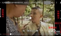 诱僧西瓜影音在线观看,揭秘神秘僧侣的奇幻之旅