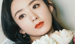 赵丽颖最新真实爆料消息,揭秘演艺生涯的酸甜苦辣