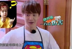 娱乐吃瓜酱内向,内向者的快乐生活指南