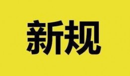 今日青岛新闻爆料,重大事件引发社会关注