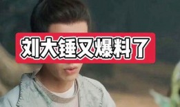 刘大锤最新爆料夫妻是谁,娱乐圈最新夫妻档曝光