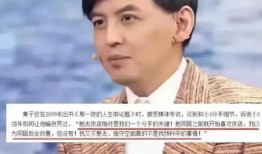 黄子佼爆料大小s视频,真相背后引人深思