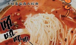 高人拉面爆料视频大全集,视频大全集深度解析