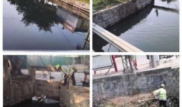 龙湖新溪爆料事件最新消息