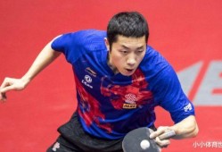 国乒爆笑爆料大全最新消息,最新笑料盘点，笑翻全场！