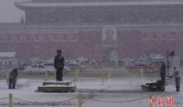 地极在线观看,揭秘神秘极地探险之旅