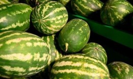 常德网红吃瓜事件真相,真相背后引人深思