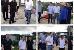 龙湖新溪爆料事件最新消息