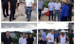 龙湖新溪爆料事件最新消息