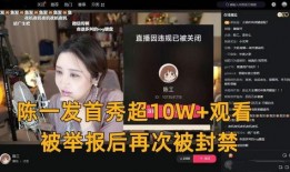 荔枝娱乐爆料事件视频播放,事件视频播放量突破百万，真相即将揭晓