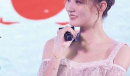 网红爆料女明星视频播放,女明星私密视频播放量惊人，真相揭秘！