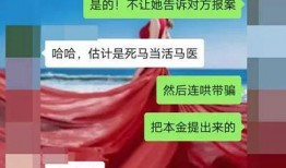 新闻爆料平台微信群,新闻爆料平台背后的真相与争议”