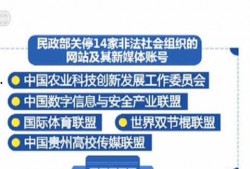 今日青岛新闻爆料,重大事件引发社会关注