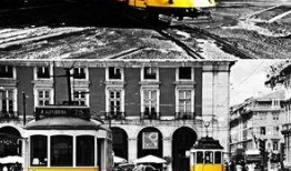 情欲电车 在线观看