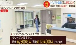 日本流感爆料视频网站,病毒传播与防疫措施全解析