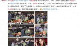 杨爸爆料视频大全最新版,揭秘娱乐圈幕后真相