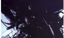 铁男1金属兽在线观看,在线观看，探索金属兽的惊险冒险之旅