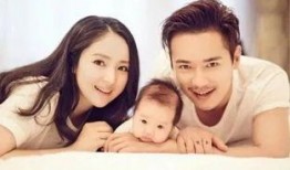 no1娱乐吃瓜,揭秘娱乐圈最新热点事件