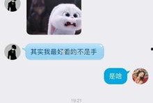 大爆料撩妹视频下载,下载攻略与热门片段大盘点