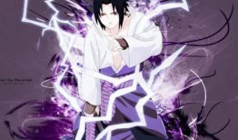 佐助首播爆料视频大全下载,揭秘忍者世界的精彩瞬间