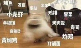 食品小哥爆料事件视频完整版,揭露行业黑幕，完整版视频曝光