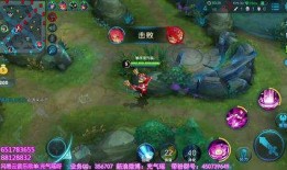 阿牛王者爆料视频,揭秘游戏幕后精彩瞬间