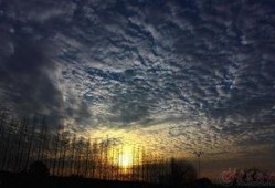 风起云涌在线观看,风云变幻的传奇故事