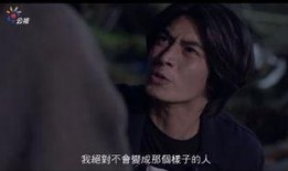 在线观看 他们,内容生成与传播的新篇章