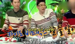 吃瓜综艺娱乐猪,娱乐猪的欢乐盛宴