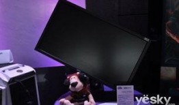 电竞明星爆料视频下载网站