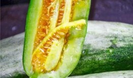 吃小网红瓜,那些你不知道的小秘密