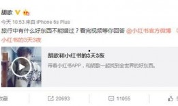 小红书网红吃瓜朱某妮,揭秘娱乐圈那些不为人知的秘密