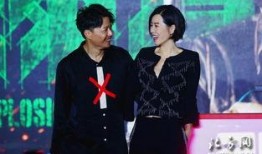 引爆爆料段奕宏视频播放,揭秘幕后故事与精彩瞬间