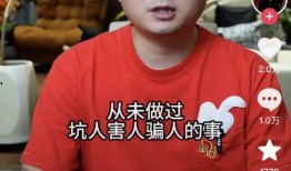 辛巴爆料小杨哥卢文庆曝光视频,视频曝光惊人真相！