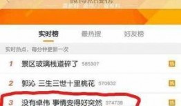 卓伟爆料张婷视频大全,张婷视频大全揭秘