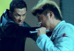 大鹏爆料甄子丹吴京视频