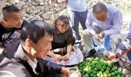 徽县吃瓜网红事件始末,网络舆论漩涡中的真相探寻