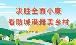 青山最新爆料消息视频,揭秘视频背后的惊人真相