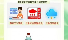 今日头条绵阳爆料,聚焦城市热点事件，揭秘背后真相