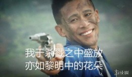 吃瓜网红讲述了什么道理,娱乐圈背后的生存法则
