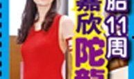 明星娱乐最新爆料新闻,明星隐私大曝光，最新爆料震惊众人