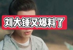 刘大锤娱乐爆料,揭秘娱乐圈幕后真相