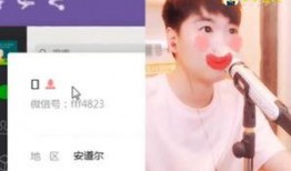 赵小磊爆料视频,幕后真相大曝光