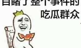 搞笑吃瓜队长小说免费阅读,笑料横生的奇幻冒险之旅