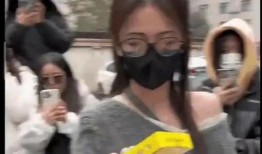国内吃瓜爆料视频,吃瓜视频背后的惊人爆料