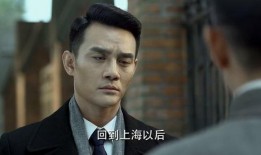伪装者电视剧在线观看,谍影重重，兄弟情深