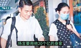 香港娱记爆料刘德华视频,香港娱记独家爆料，真相令人震惊